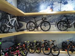 -TREK崔克自行车(徐汇滨江店)