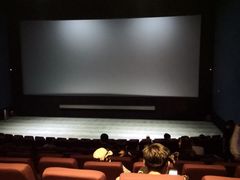 -首都电影院(天津店 中国巨幕)