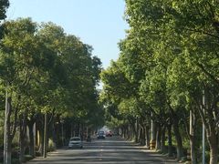 -上海长兴岛郊野公园