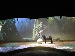 -cavalia·舞马