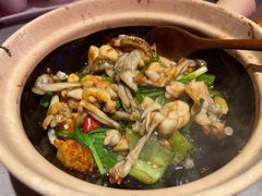 生啫田鸡-啫神·广州地标美食(北京路店)