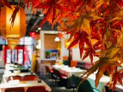 大堂-雲蜀龙阁·金牌水煮鱼(方庄店)