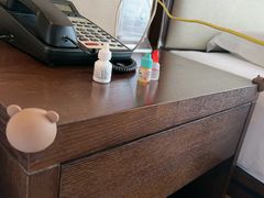 -佛山顺德香云纱园林酒店(清晖园店)