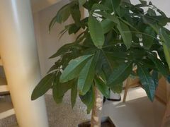 -泰合玺·精油疗愈 SPA(南京河西万达店)