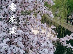 -元大都城垣遗址公园