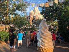 -奥兰多迪士尼动物王国乐园