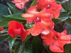 -艾溪湖湿地公园