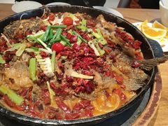 -老板恋上鱼(恒隆广场店)