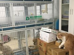 -诺比宠物医院心脏内科·泌尿肾内外科·骨科急重症