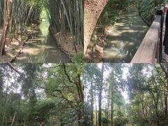 -同里国家湿地公园