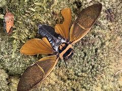 -武汉荟聚