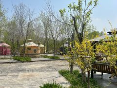 -西青郊野公园