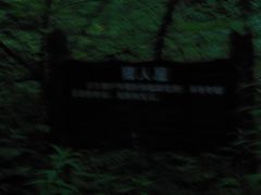 -峡谷浮石林景区