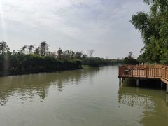 -大湾区中央湿地公园