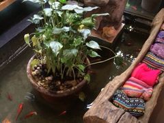 iphone_upload_pic-旅马餐厅(茅家埠店)