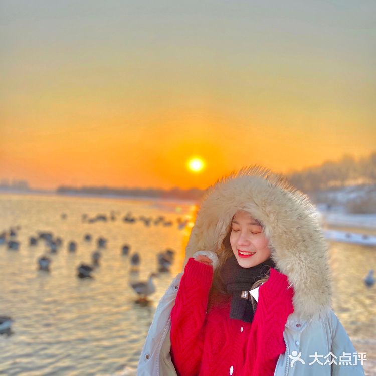 沈阳鸟岛｜🈚️门票🎫下面👇详细位置