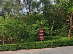 -北京张裕爱斐堡酒庄