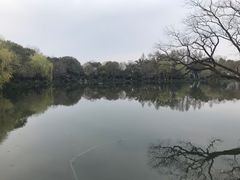 -西湖外事游船(花港观鱼码头)