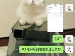 -初八专业级手工DIY陶艺社·户外研学·创意DIY首饰