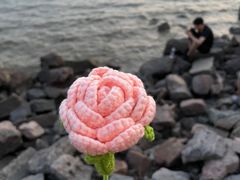 -福田红树林生态公园