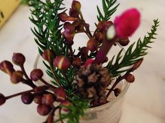 -The Rug Cafe(王府中环店)