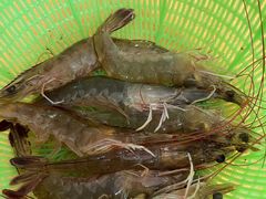 -濠轩阁特色生蚝火锅(水湾路店)