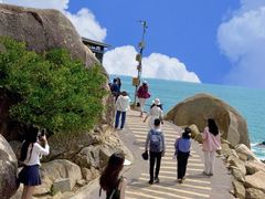 -广东惠东海龟国家级自然保护区