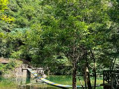 -龙湾潭国家森林公园