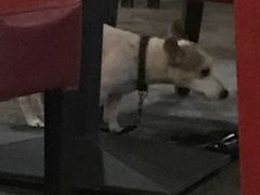 -LA MAISON公鸡和龙(蛇口店)