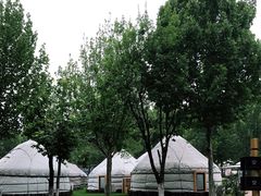 -九十九顶毡房(阜石路店)