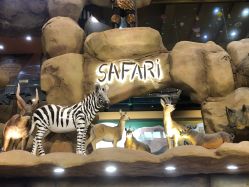 -卡通尼·Safari非洲探索乐园·生日会(金桥国际商业广场店)