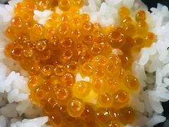 -蟹料理 北海道かに将軍(札幌本店)