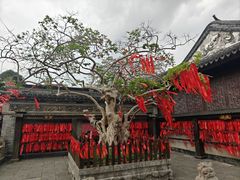 -中山詹园