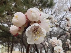 -元大都城垣遗址公园