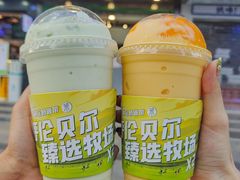 -茉酸奶(春熙路店)
