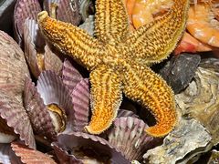 -前海沿·青岛菜(五四广场永旺店)