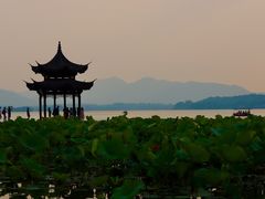 -杭州君悦酒店