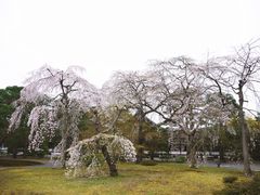 -京都御所
