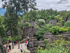 -梭布垭石林景区