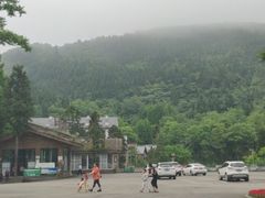 -武陵山森林公园