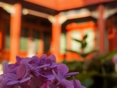 -北京石刻艺术博物馆(五塔寺)