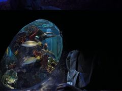 -成都浩海立方海洋公园