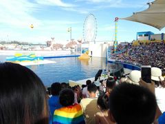 -秦皇岛乐岛海洋王国