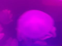 -优托邦(长兴路店)