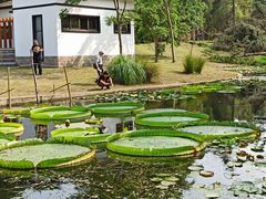 -共青国家森林公园-售票处