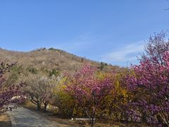 -北京西山国家森林公园