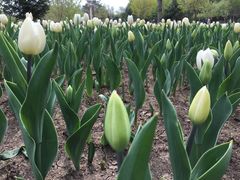 -长春公园(普阳街道)