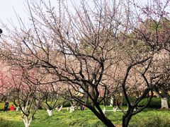 景点-荆川公园