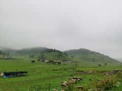 -关山草原