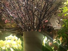 -春暖花开(西溪店)